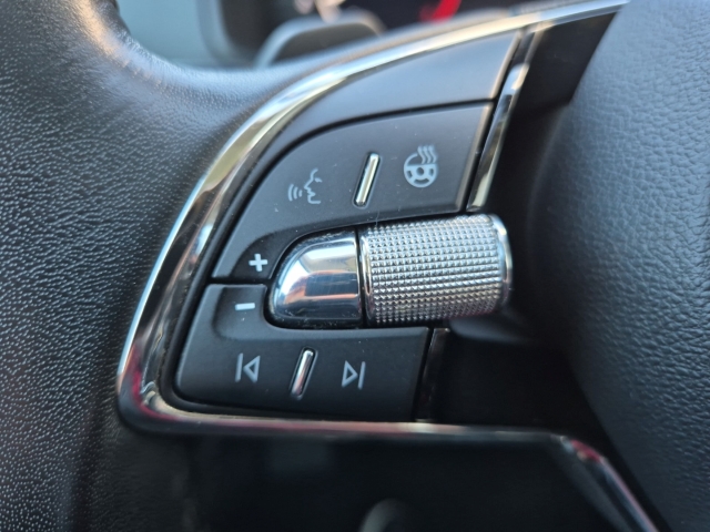 Skoda - Karoq Style 4x4 2.0 TDI DSG AHK ACC Matrix SHZ_20