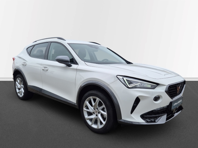 Cupra - Formentor 1,5 TSi Navi Allwetter CAM SHZ LED_9