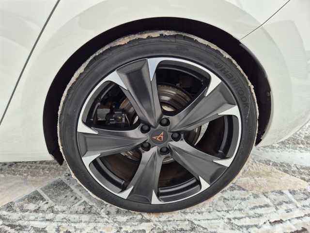 Cupra - Leon VZ 2.0 TSi DSG Matrix ACC SHZ FullLink Kessy_18