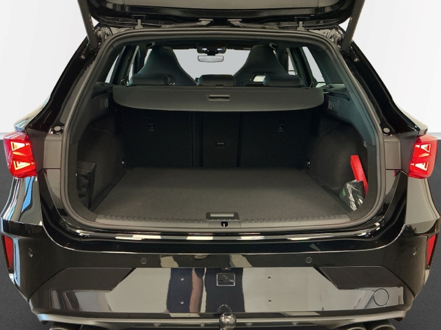 Cupra - Leon Sportstourer 2.0 TSI 245 kW 4Drive VZ PANO,AHK,MATRIX_9