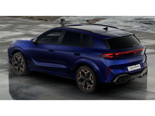 Cupra - Terramar 2.0 TSI 195 kW 4Drive VZ SHZ,LED_2
