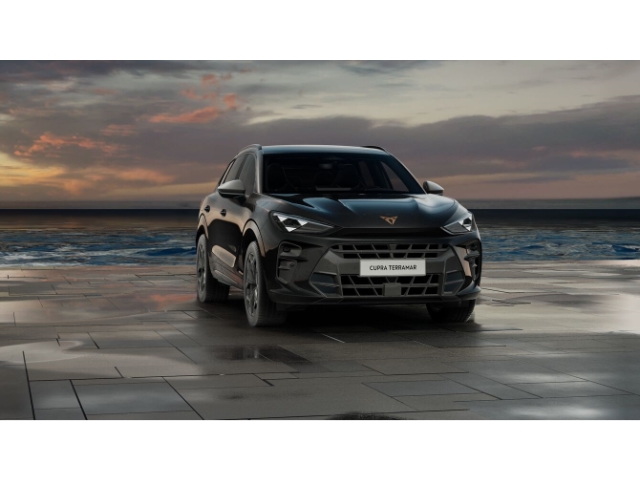 Cupra Terramar 1.5 eTSI 110 kW  AHK Sitzheizung Fulllink