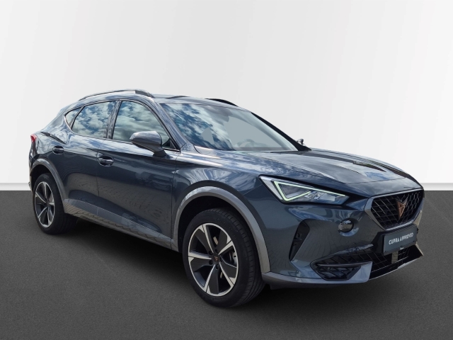 Cupra - Formentor 1.5 TSI DSG AHK BLIS Cam SHZ BEATS FullLink_9