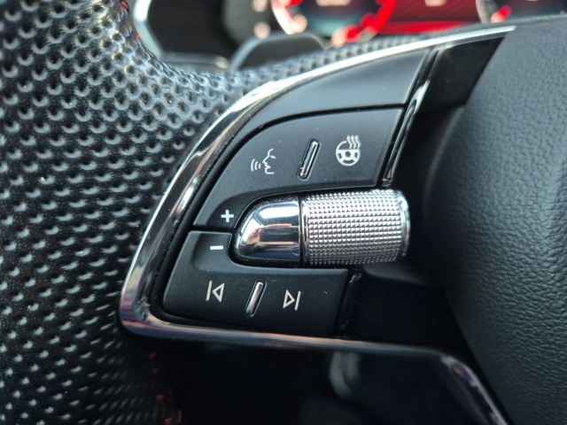 Skoda - Octavia Combi RS 2,0 TDi DSG AHK Lenkrad heizbar_19